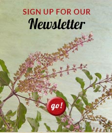 Sign up for the EcoTeas Newsletter